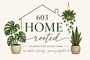 603 Home Rooted - Home