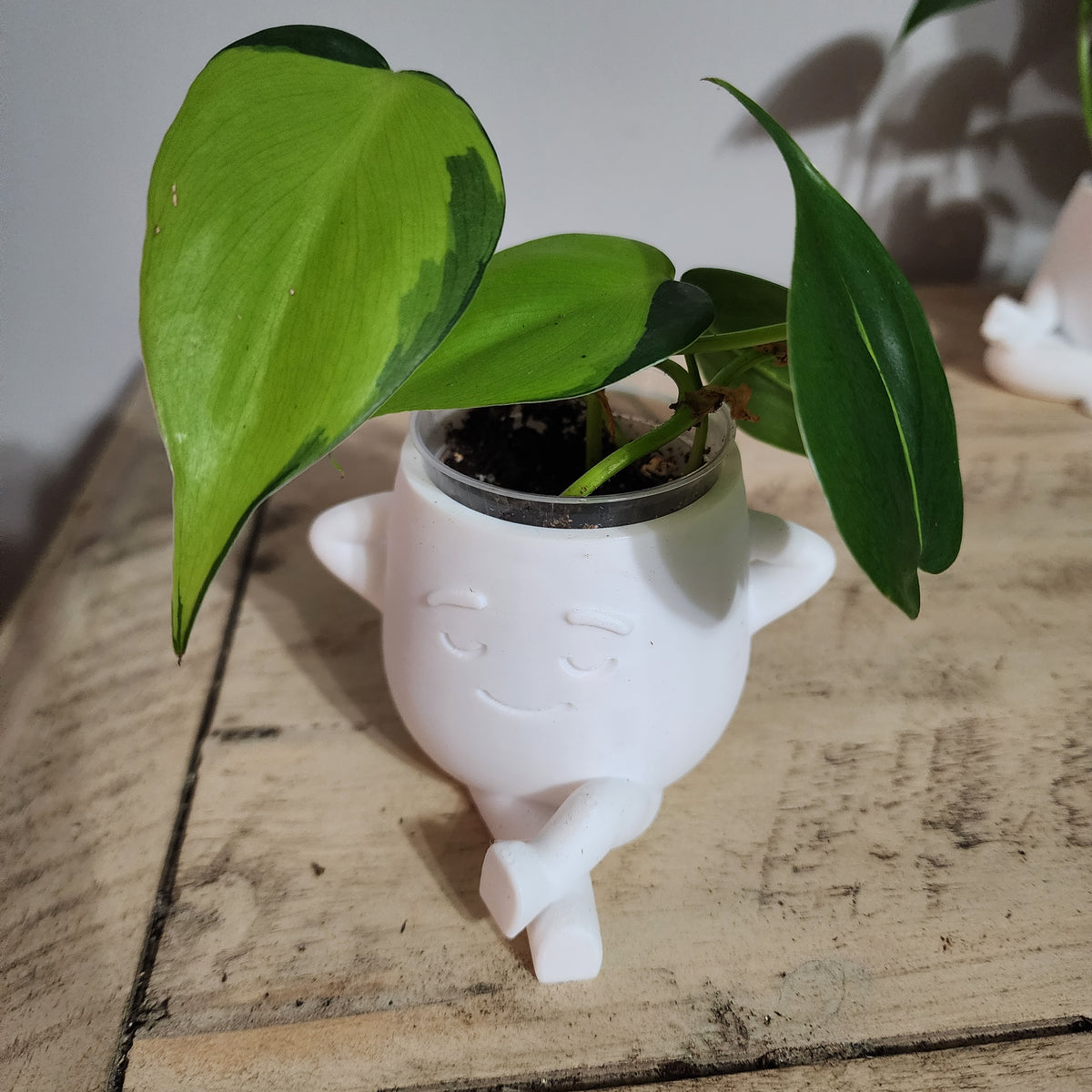 Cute Relaxed Resin Planter