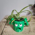 Funny face resin planter
