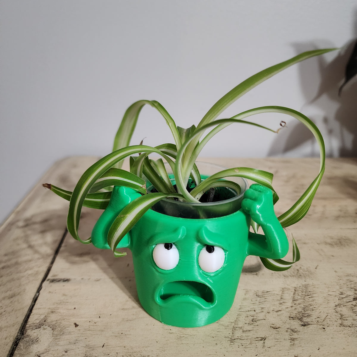 Funny face resin planter